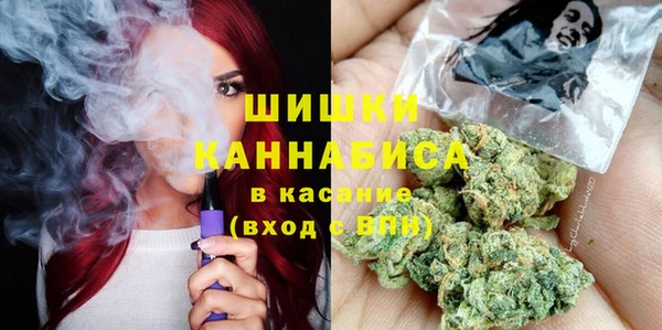 крисы Баксан
