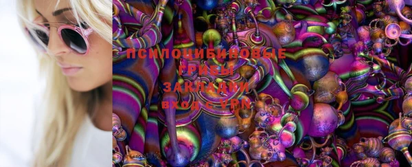 гашиш Беломорск